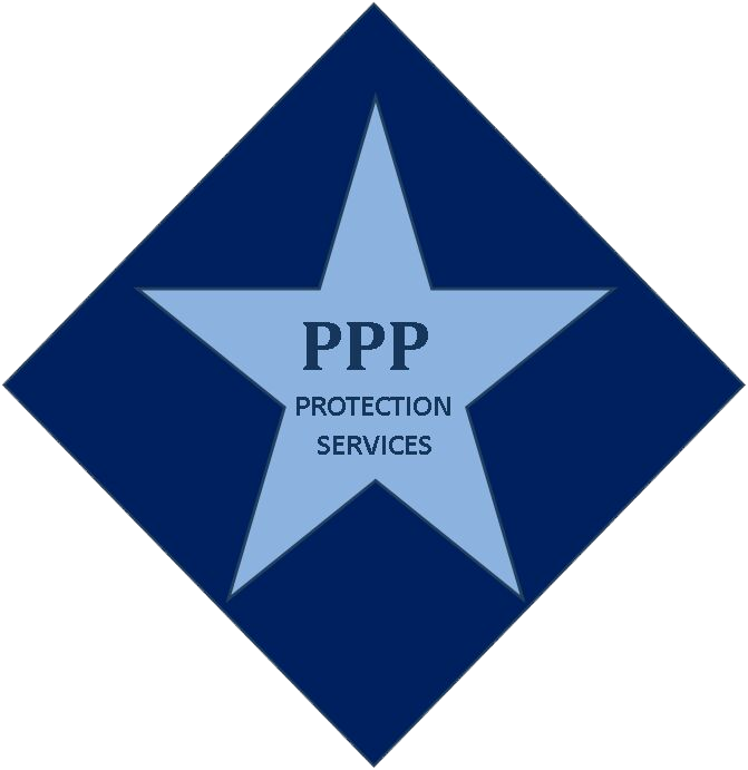 Picture1 company logo